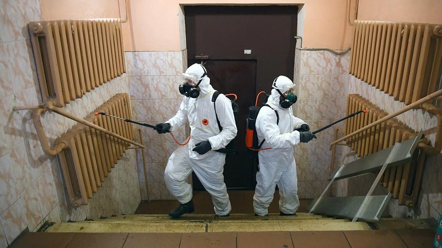 дезинфекция московский. дератизация и дезинсекция. дез центр №1. дезинфекция помещений covid. уничтожение тараканов.