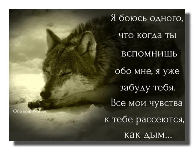 Когда-нибудь ты вспомнишь обо. Когда-нибудь ты вспомнишь обо мне. Когда ты нибудь ты вспомнишь обо мне. Ты вспомнишь обо мне стихи. Обо мне вспомнишь как проблемы