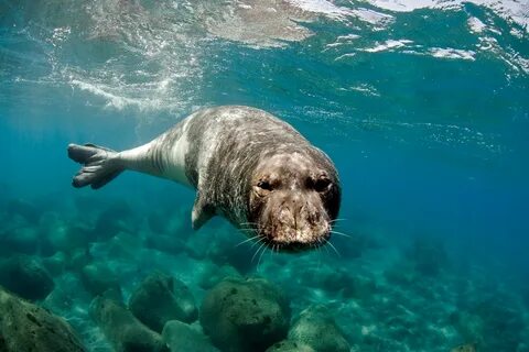 Wildlife wonderland