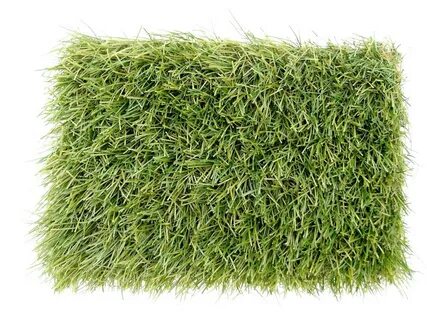 Grass se