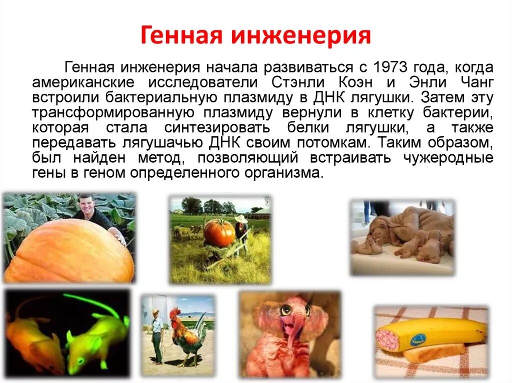 Генная инженерия используется для. Генная инженерия. опасности генной инженерии кратко. генная инженерия начала развиваться с 1973 года. генная инженерия в пищевой промышленности.