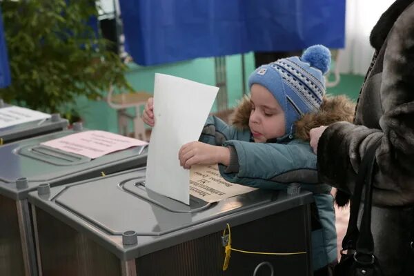 Как голосуют на своих. Дети голосуют. Детям о выборах. Голосование дети. Дети голосуют на выборах.