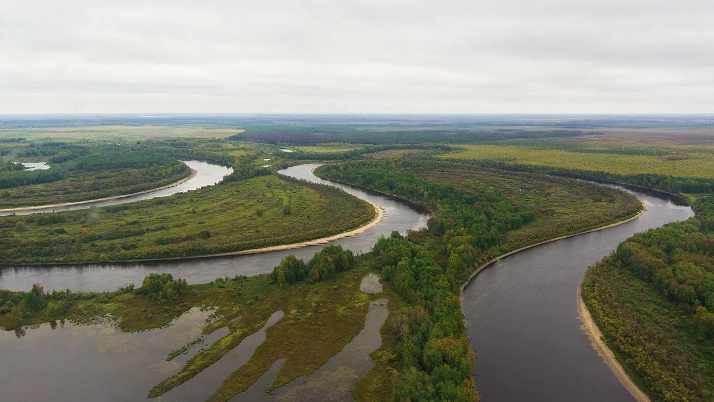 Самая большая сибирская река. Западно Сибирская равнина Обь. Западно Сибирская равнина Обь и Иртыш. Западная Сибирь река Васюган. Река Васюган.