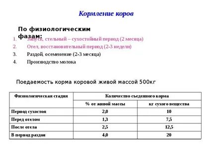 Сухостойный период