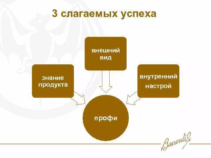 Форма успеха. Три слагаемых успеха. Виды успеха. Знание продукта.