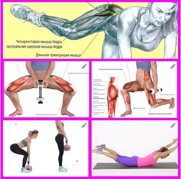 Как накачать внутренние мышцы. Упражнения для мышц бедра. Упражнения на четырехглавую бедра. Упражнения для накачивания бедер. Задняя поверхность бедра мышцы упражнения.