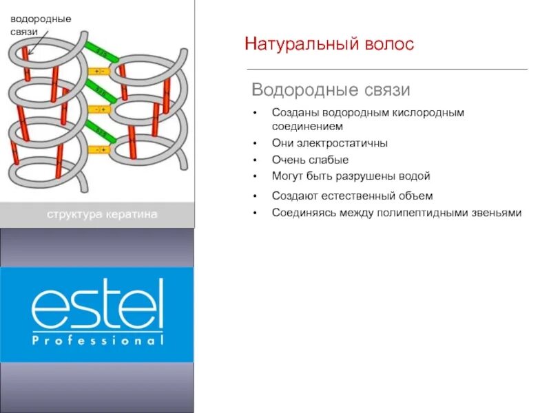 Образование дисульфидной связи. Дисульфидные связи в волосах. Водородные связи в волосах. Строение волоса дисульфидные связи. Водородные и дисульфидные связи.