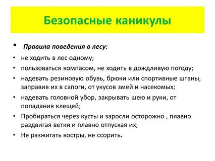 Правила поведения на каникулах презентация