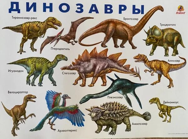 Нептичьи динозавры виды. Динозавры названия. Динозавры всех видов. Самые известные динозавры. Динозавры плакат с названиями.