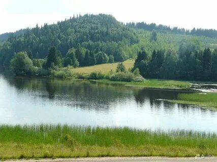 Село пили