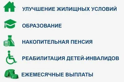 Можно потратить материнский на снт