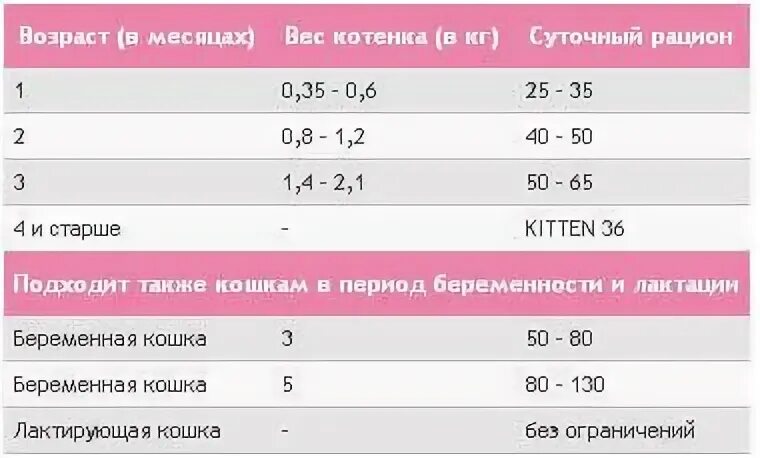 Котенок 3 недели сколько кормить