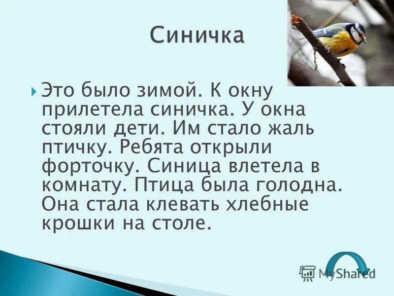 Синичка 2 класс