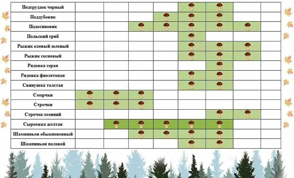 Грибы где растут и когда собирать. График сбора грибов по месяцам. Таблица сбора грибов по месяцам. Таблица роста грибов по месяцам. Таблица сбора грибов в Подмосковье.