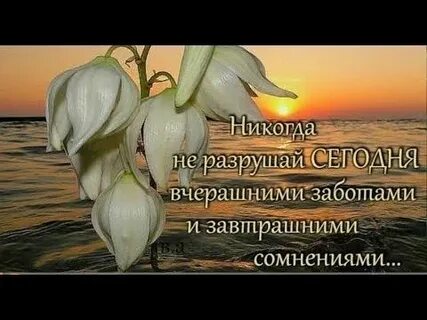 День прошедшего сегодняшнему