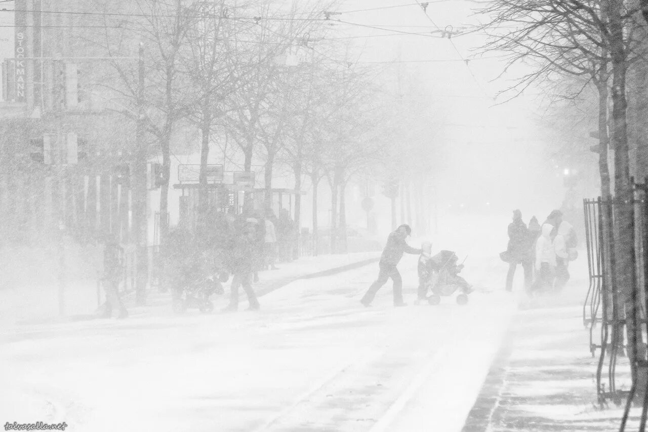 Сильная метель в городе. Метель в городе. Сильная метель. Пурга на улице. Метель на улице.