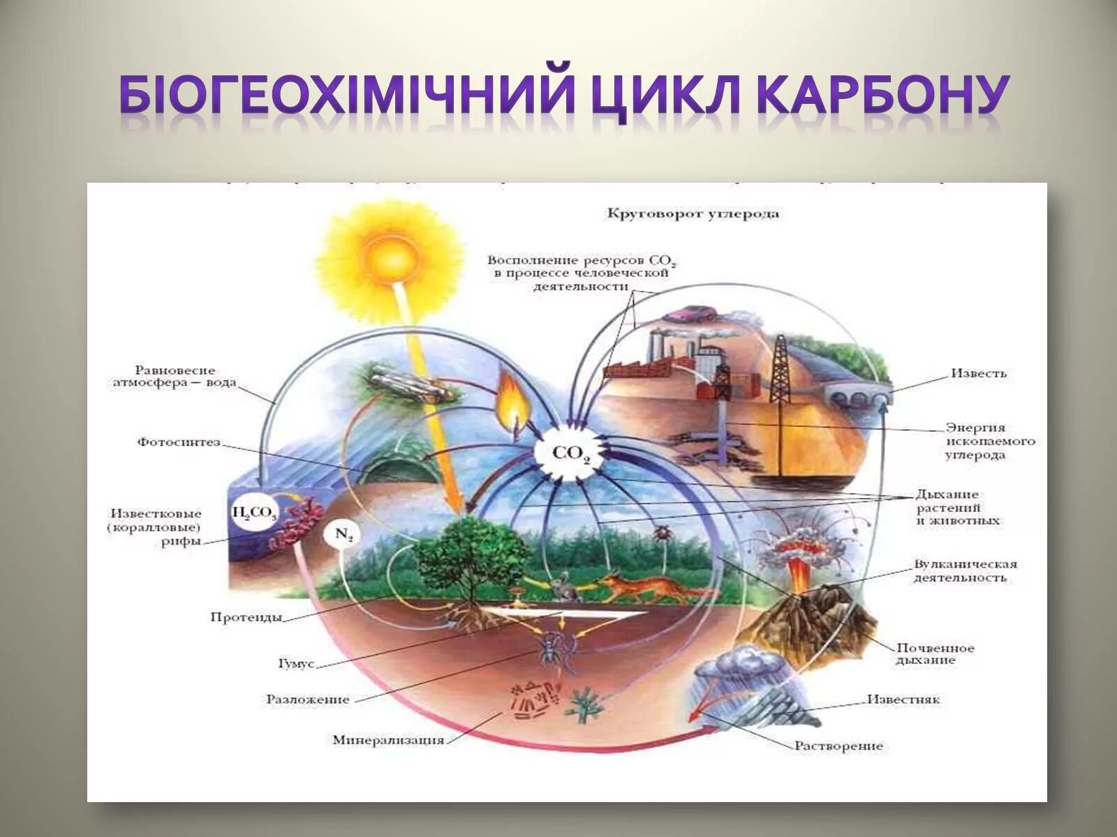 Биогеохимический цикл кислорода схема. Биогеохимический круговорот веществ в природе. Биогеохимический круговорот элементов. Круговорот углерода. Азот углерод кислород в воде