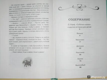 Хамелеон чехов сколько страниц