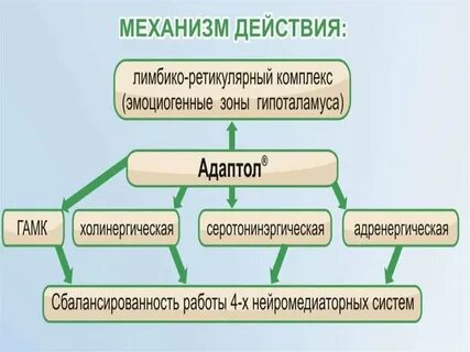 Комплекс состоит из
