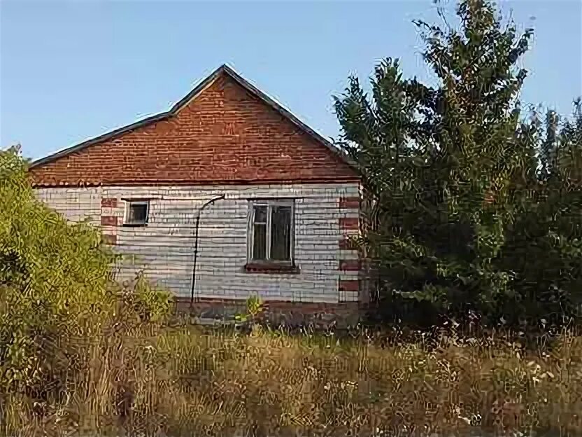 Александровка павловск воронежская область. Александровка донская. Погода в александровке павловского воронежской. Погода в александровке павловского воронежской. Александровка донская фото.