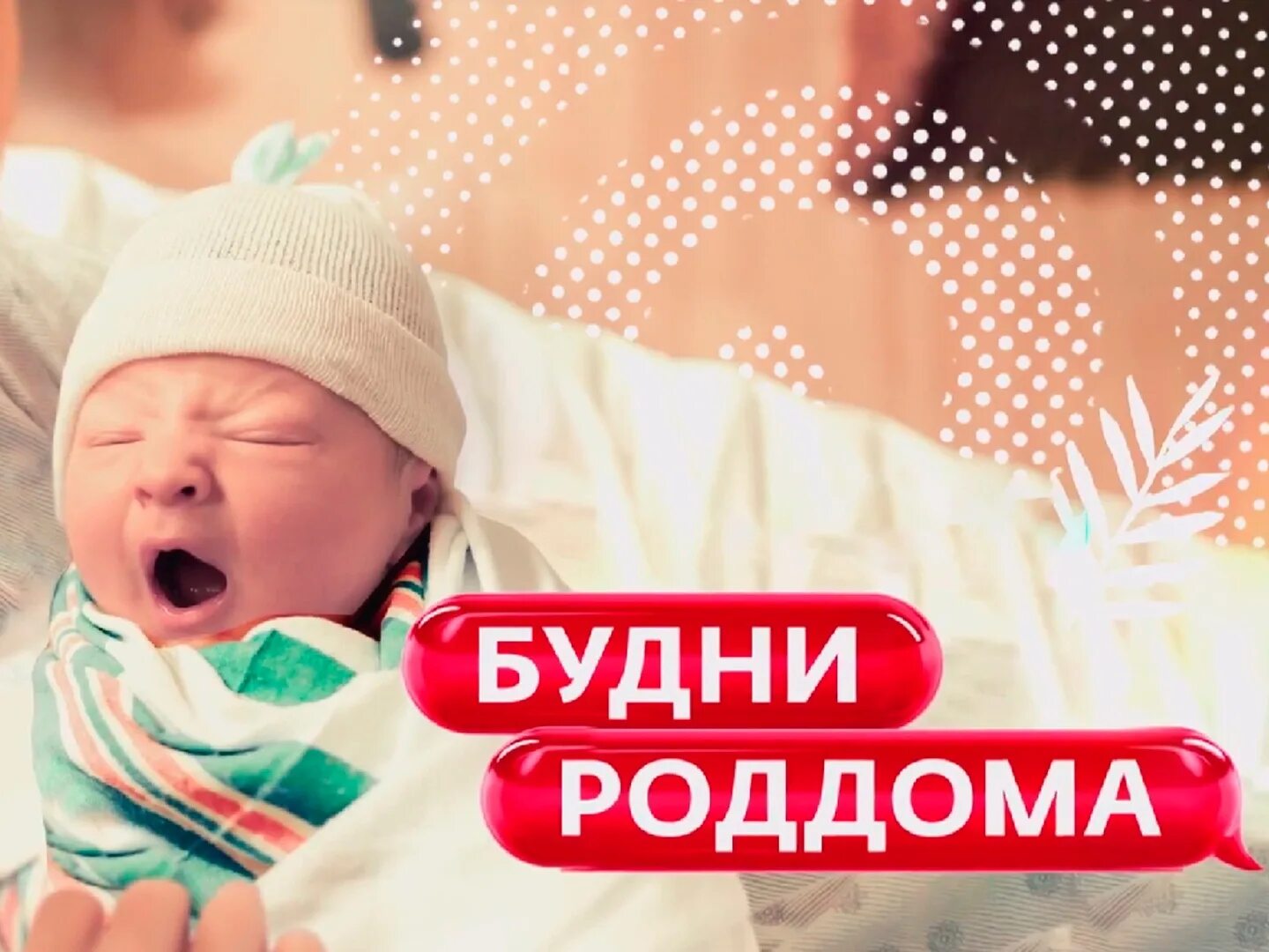 Будни роддома новый. Будни роддома реалити шоу. Будни роддома новый. Будни роддома новый. Будни роддома новый.