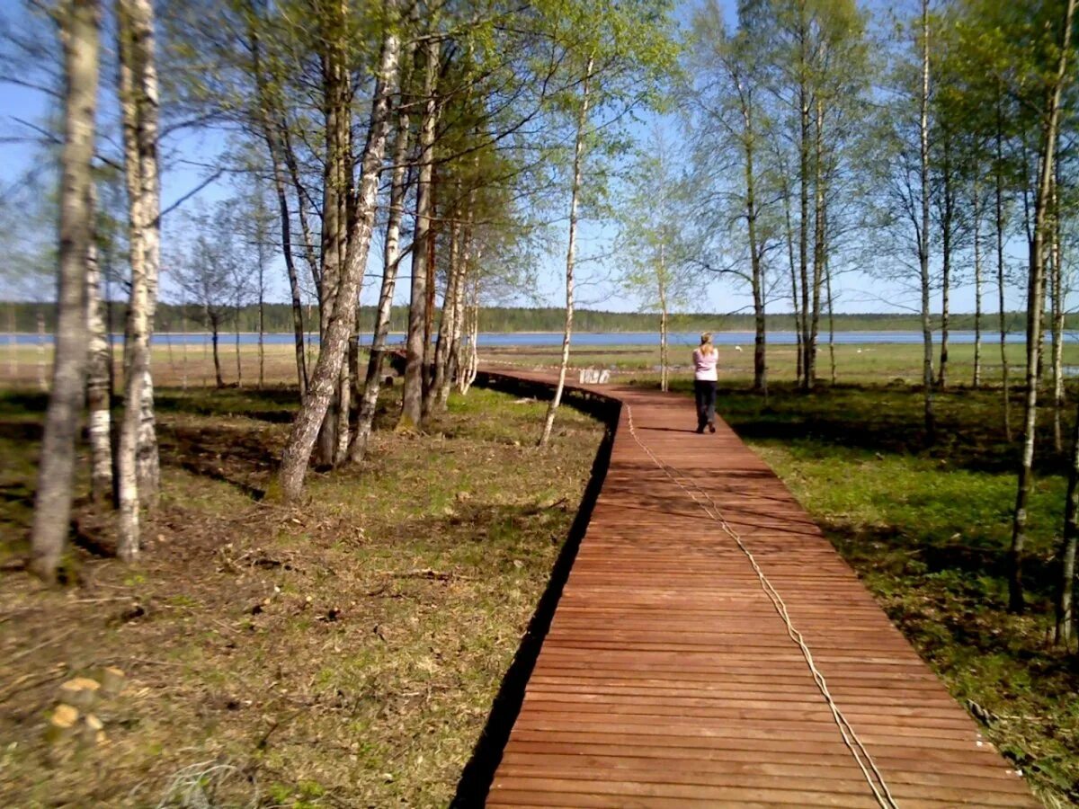 Кирпичное выборгский. Посёлок кирпичное выборгский. ягодное озеро ленинградская область. поселок кирпичное ленинградская область выборгский. кирпичное ленинградская область озеро.