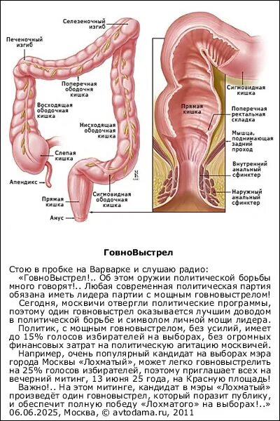 Селезеночный изгиб ободочной кишки. Селезеночный изгиб кишечника. Селезеночный изгиб толстой кишки.