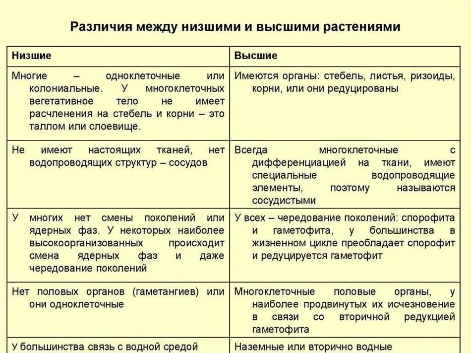 Главный признак низших растений. Отличительные особенности высших растений. Низшие растения и высшие растения отличия. Признаки низших и высших растений таблица. Отличие высших растений от низших.