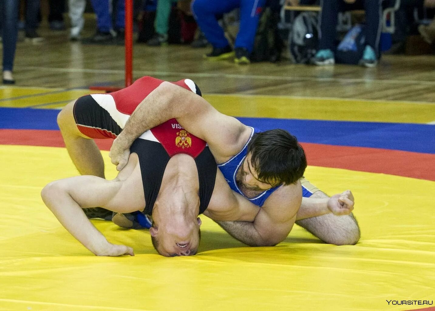 Абдусалам гадисов 2022. Греко-римская, вольная борцы. Является борьба сама. Головин борец. Абдусалам гадисов бросок.