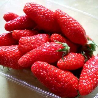 Клубника гаригуэтта
