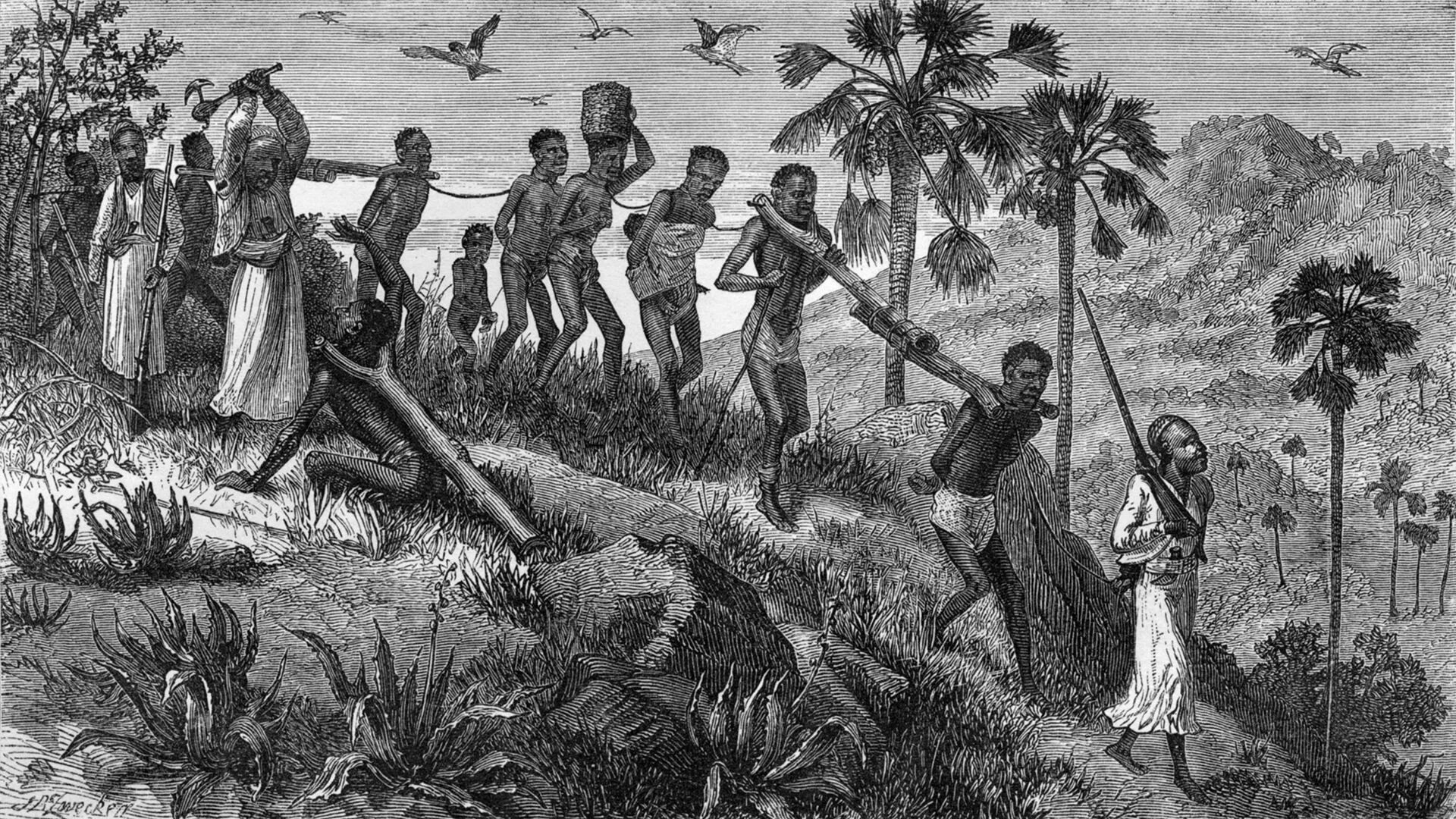 Либерийцы Африка 19 век. Либерия в Африке 19 века. Либерия Африка 19 век. Африка 19 века работорговля. Захват африки