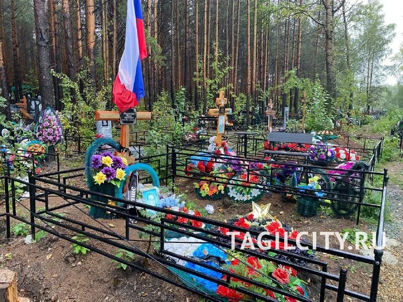 захоронения тагила пихтовые горы. медведь на кладбище в нижнем тагиле. медведь раскопал могилу. кладбище пихтовые горы нижний тагил. кладбище нижний тагил пихтовка.