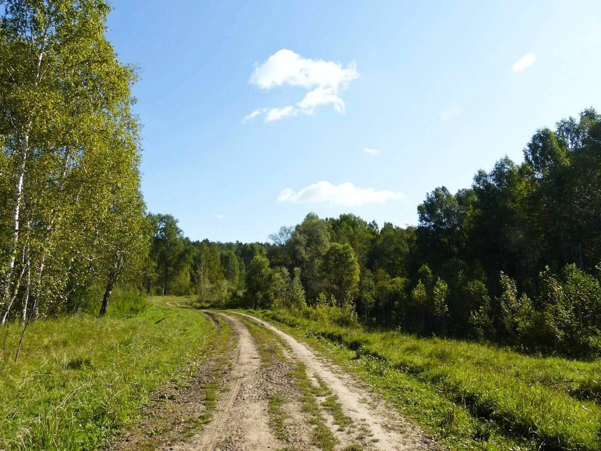 Памятники природы тюменской области. Шашовские горы Тюмень. Шашовские горы Упоровский район. Памятник природы Шашовский. Деревня Шашова Упоровский район.