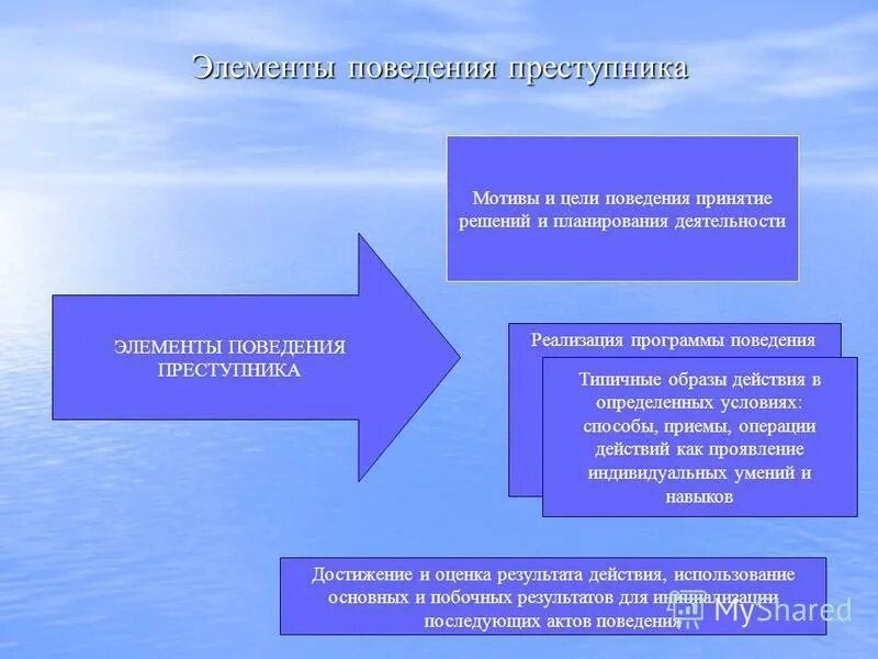 Элементы поведения. Поведение преступника. Психология преступного поведения. Мотивы преступного поведения юридическая психология.