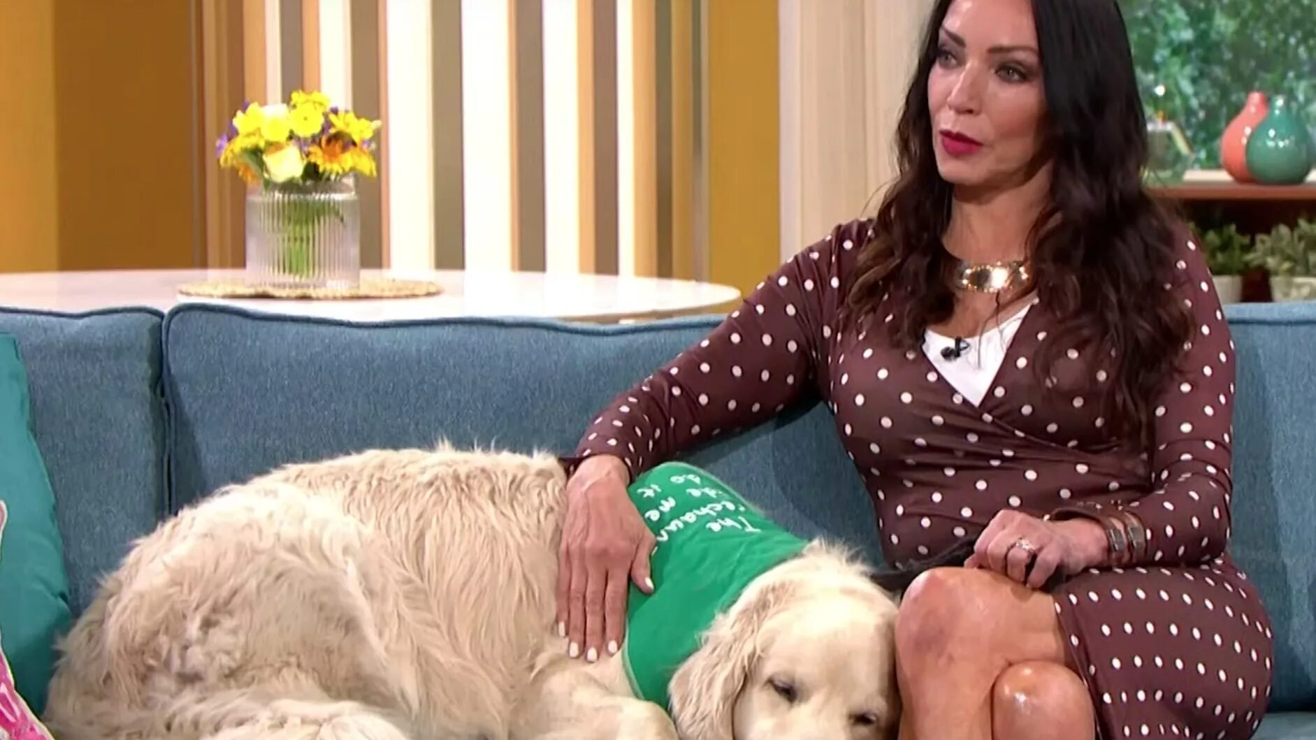 Роджер доркас. Роджер доркас миллионер. Любовь собаки к человеку. Девочка и щенок. Собак замужем.