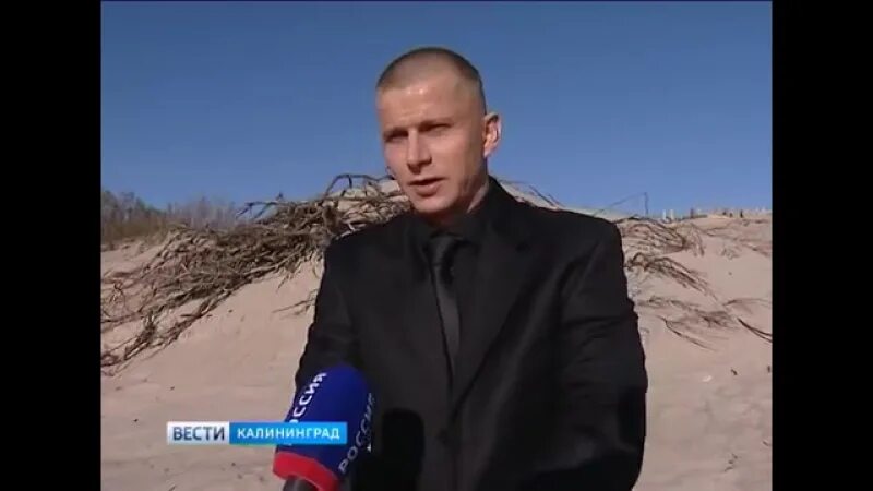 Желтый глаз тигра "Янтарная Мафия в париках:так ли все было на самом деле"Мы