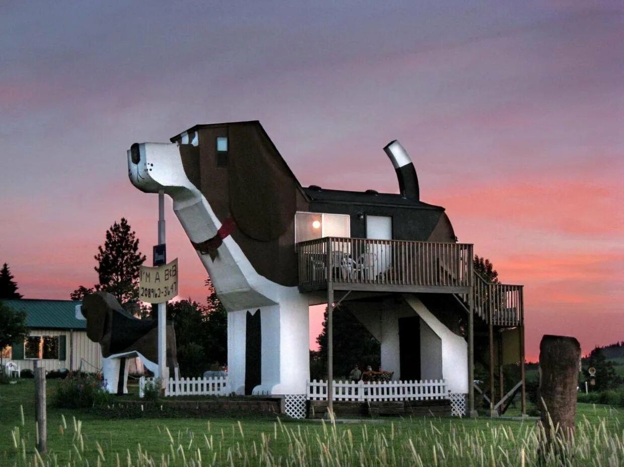 Дом необычных людей. Dog bark park inn сша, айдахо, коттонвуд. гостиница dog bark park inn. отель dog bark park inn фото. необычный дом.