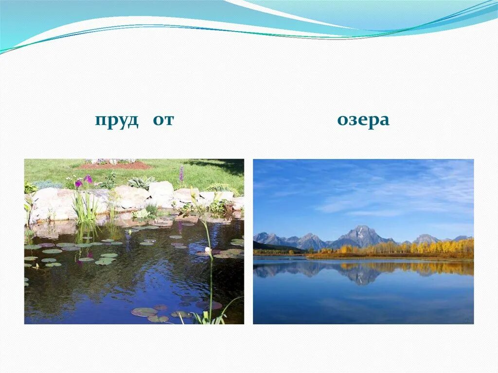 Озеро пруд отличие. Пруд и озеро в чем разница. Как отличить озеро от пруда. Отличие пруда от озера