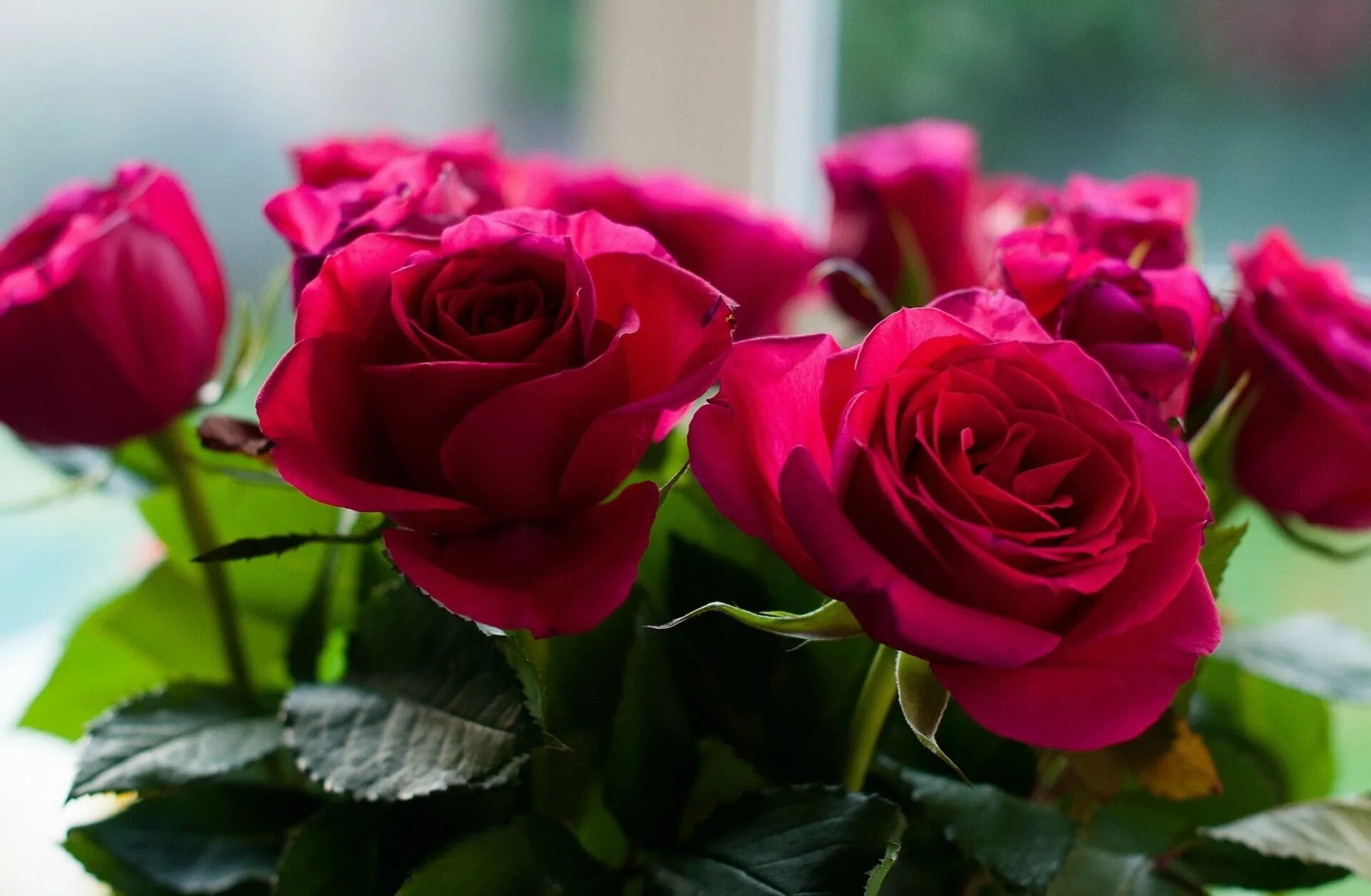 Букет роз к 8 марту. Шикарные цветы. Открытка цветы. Открытки с розами.