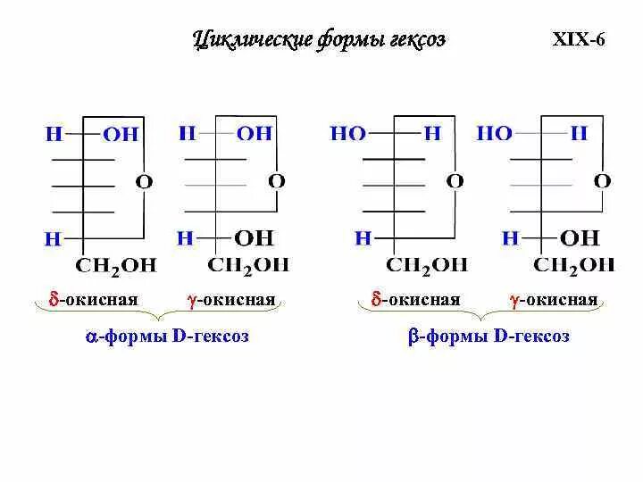 Строение гексоз. D гексоза. Циклические формы гексоз. Δ-окисные формы гексоз. Гексоза это