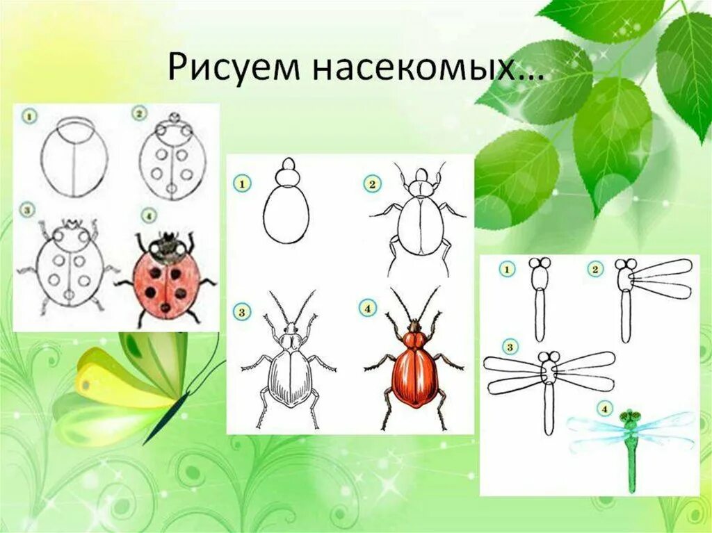 Тема урока рисунок. Рисование насекомые. Поэтапное рисование насекомых. Рисование насекомые старшая группа. Пошаговое рисование насекомых для детей.