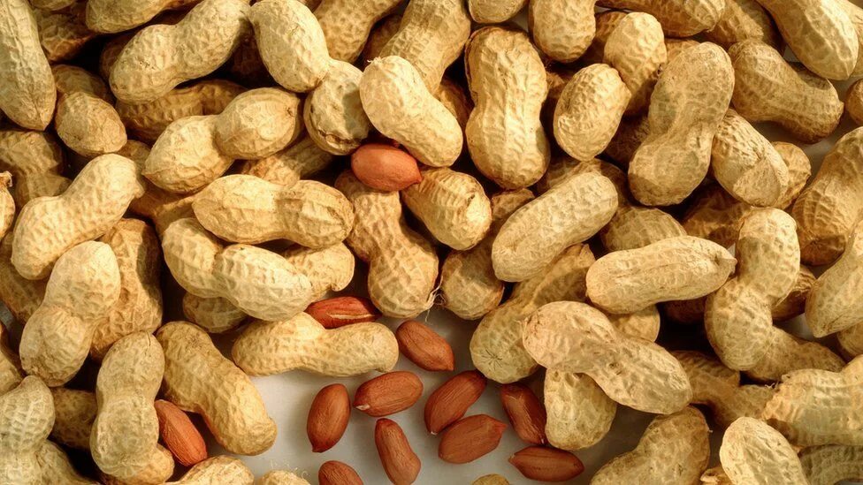 американский земляной орех. орех грецкий. арахис какой орех. земляной арахис. арахис «dattie».