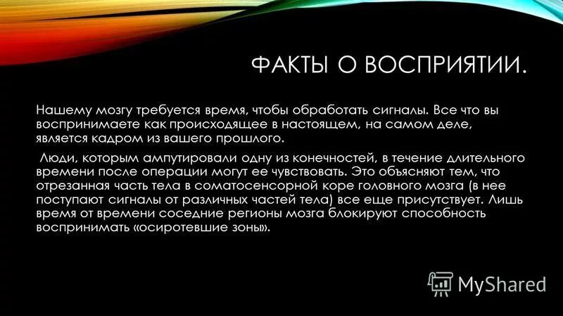 Время. Часы и время. Человек часы. Близлежащее время. Человек на работе с часами.