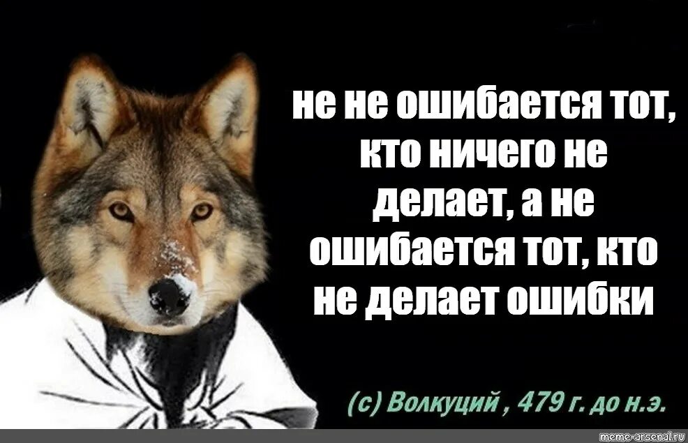 Кто не работает тот не ошибается. Волк Мем. Мемы про Волков. Цитаты волка. Мемы с волками и Цитатами.