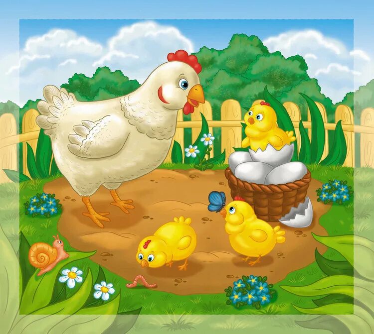 Домашние птицы ранний возраст. Курица с цыплятами для детей. Картина курица с цыплятами. Курочки и цыплята для дошкольников. Квочка с цыплятами.