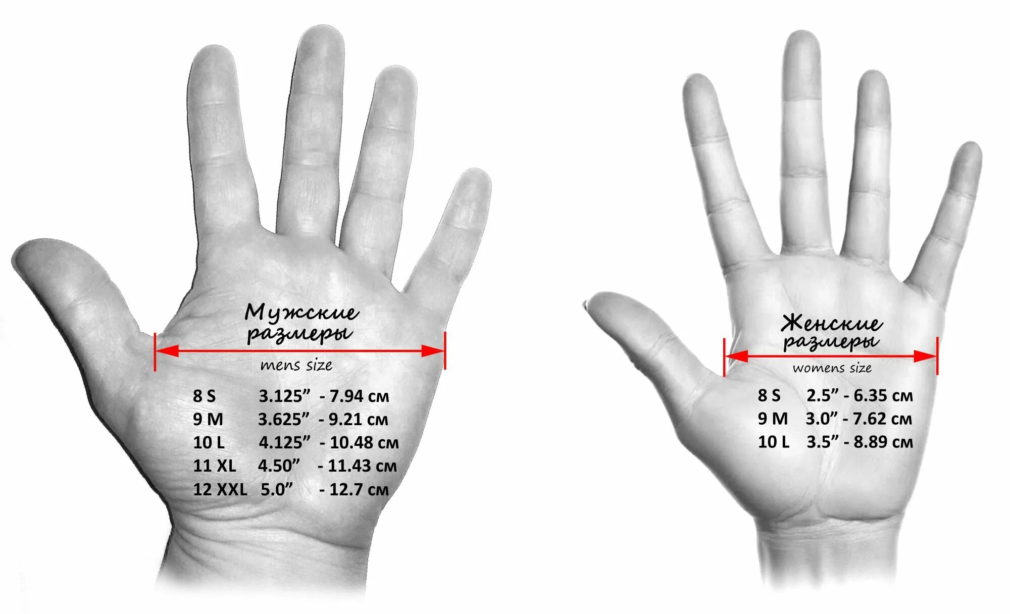 Как измерить руку для перчаток. Как мерить размер перчаток. Как замерить кисть руки для перчаток. Как правильно измерить обхват ладони для размера перчатки. Как определить размер ладони для перчаток у женщин.