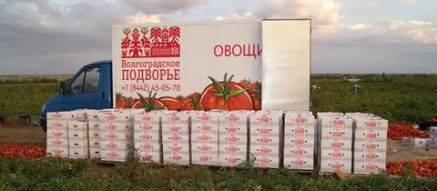 Агрофирма 2