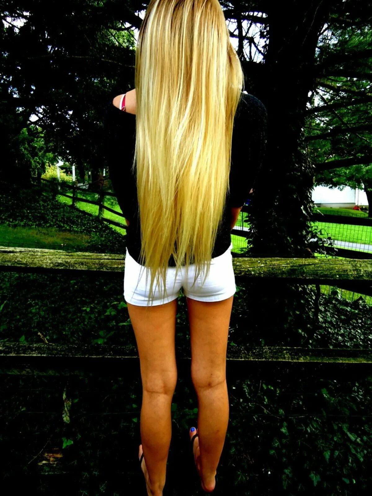 Блондинка с длинными волосами. Красивые блондинки с длинными волосами. Блондинка с длинными волосами со спины. Девушка с длинными светлыми волосами.