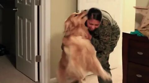 /5.Upon the unforeseen return of the American soldier after years of service to his nation, loyal dog Sugar exhibited an unusual response, evoking deep emotions among witnesses and swiftly garnering widespread attention on Facebook.