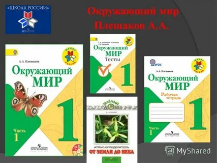 Окр мир тест 1 класс плешаков